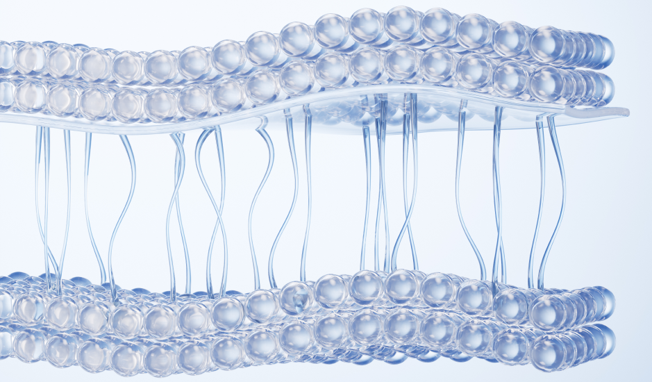 Stem cell skin therapy Korea, regenerative skincare, stem cell facial treatment, skin rejuvenation technology, growth factor therapy, collagen regeneration, anti-aging stem cell treatment, Korean aesthetic dermatology, AB Plastic Surgery Korea, advanced skin regeneration