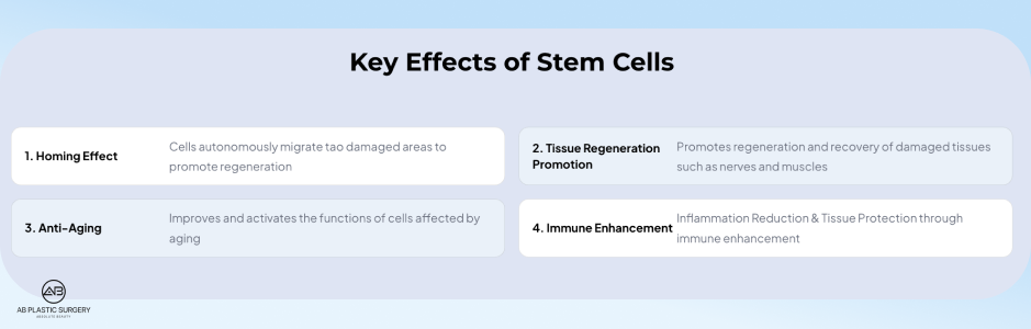 Key Benefits of Stem Cell Treatment in Korea Including Tissue Regeneration, Anti-Aging, Immune Enhancement, and Homing Effect