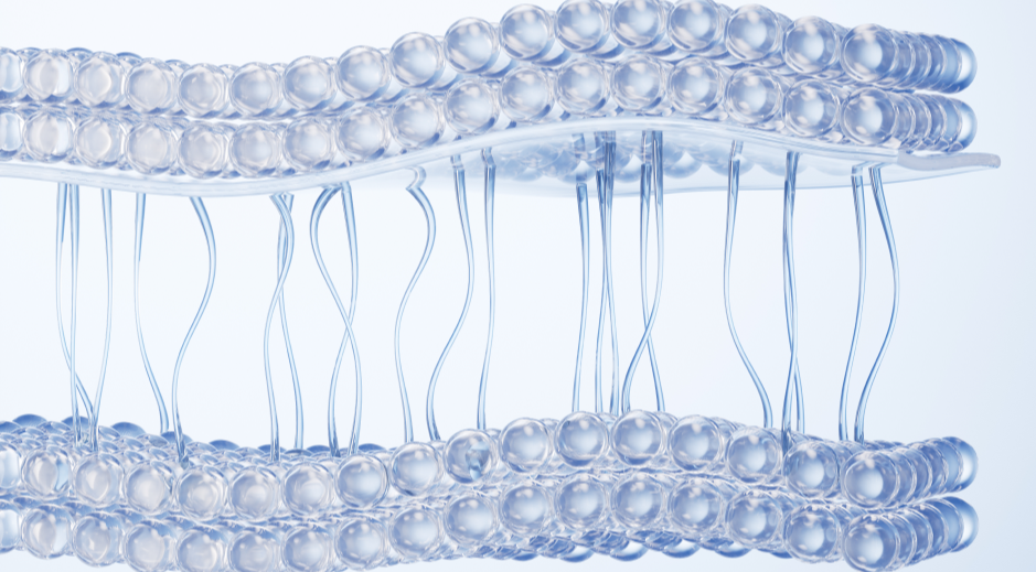 Skin-barrier illustration representing gentle aftercare for rosacea-prone and sensitive facial skin