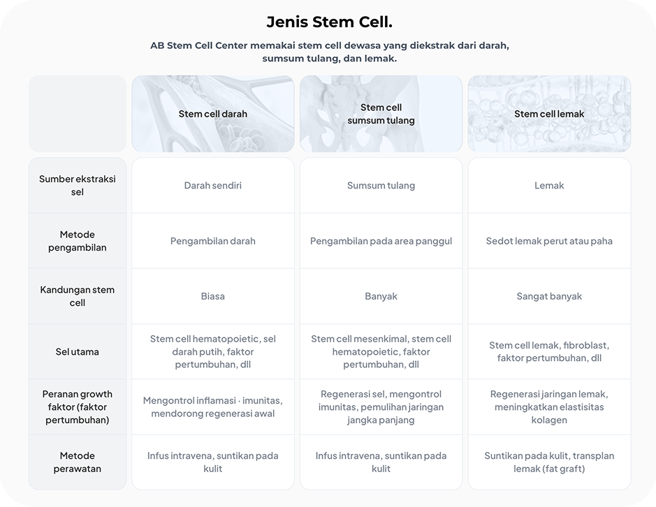 Infografik Perbandingan Stem Cell Dewasa dari Darah, Sumsum Tulang, dan Lemak di Operasi Plastik AB Korea untuk Terapi Stem Cell, Regenerasi, dan Anti-Aging