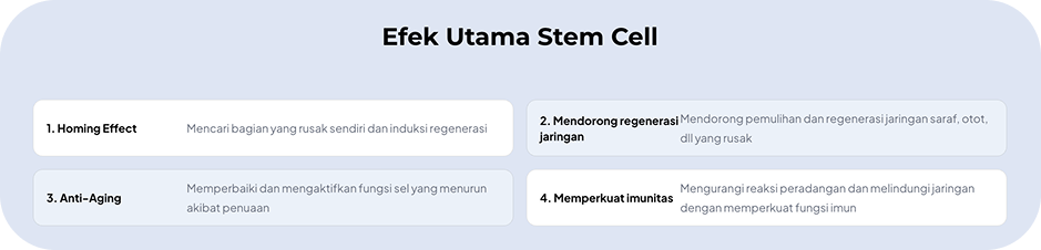 Infografik Manfaat Terapi Stem Cell di Operasi Plastik AB Korea yang Menjelaskan Homing Effect, Regenerasi Jaringan, Efek Anti-Aging, dan Penguatan Imunitas