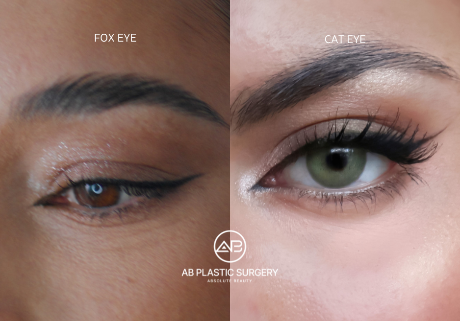 ความแตกต่างระหว่าง Fox Eye และ Cat Eye