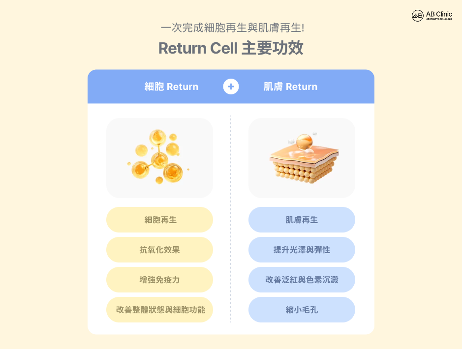 幹細胞水光針主要效果示意圖，說明透過細胞再生與肌膚再生雙重作用，幫助提升肌膚彈性、改善膚質、減少泛紅與毛孔問題的整體變化